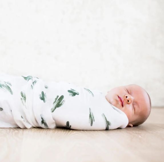 Cactus swaddle outlet