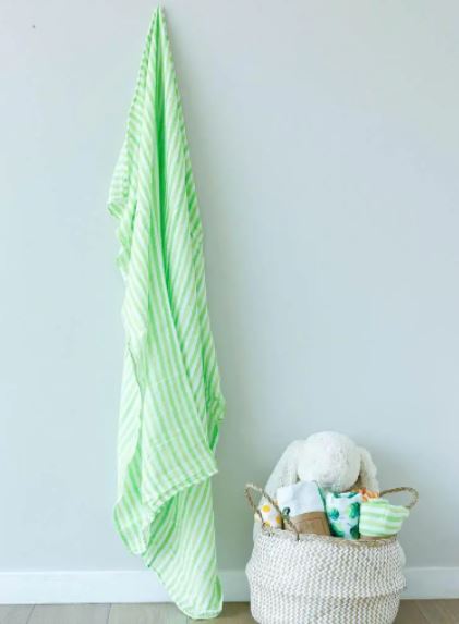 Neon Green Stripe Parrot Swaddle Blanket